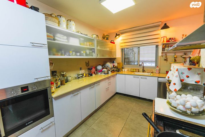 דירה, אריאל