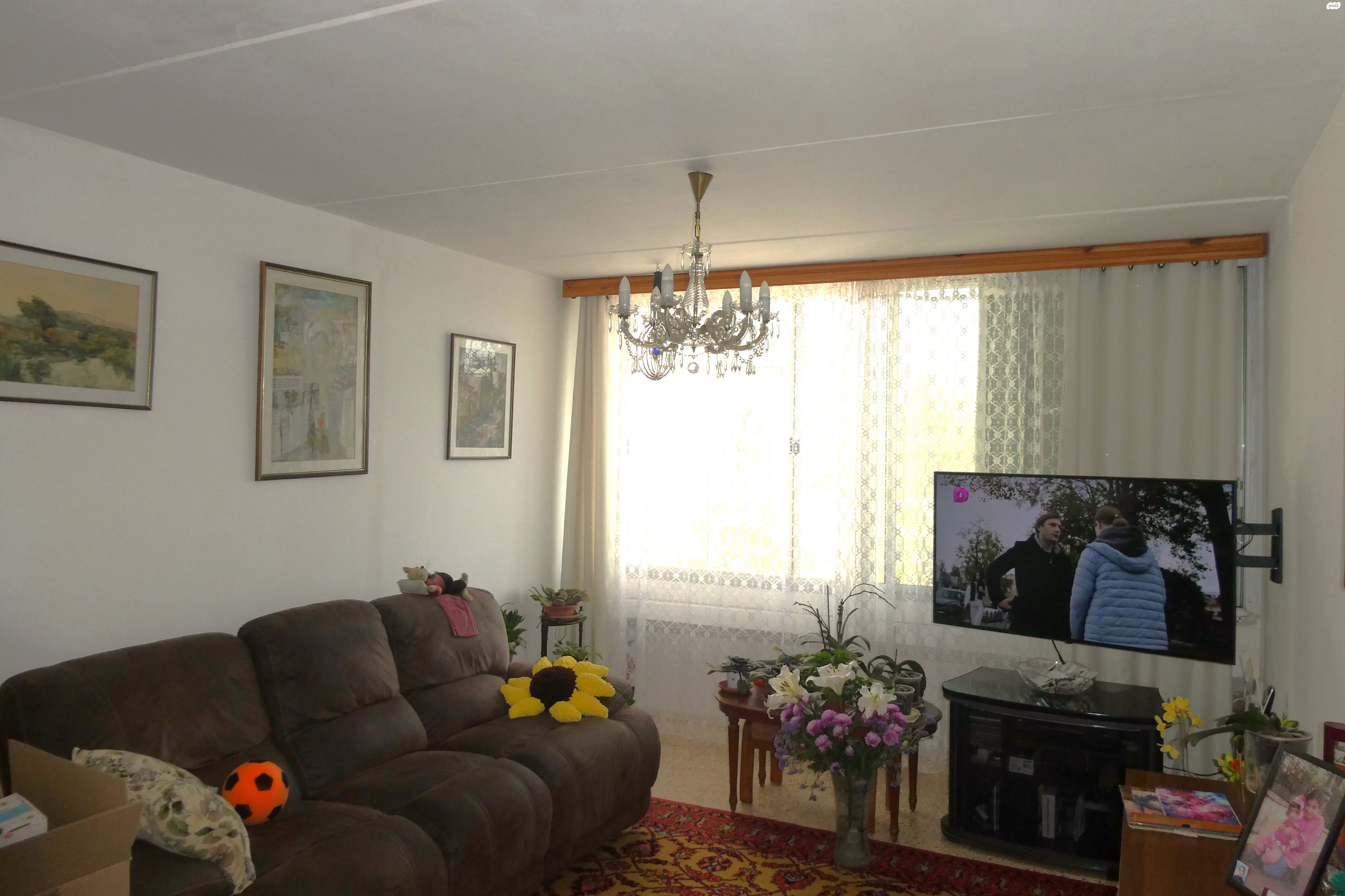 סיגליות 29