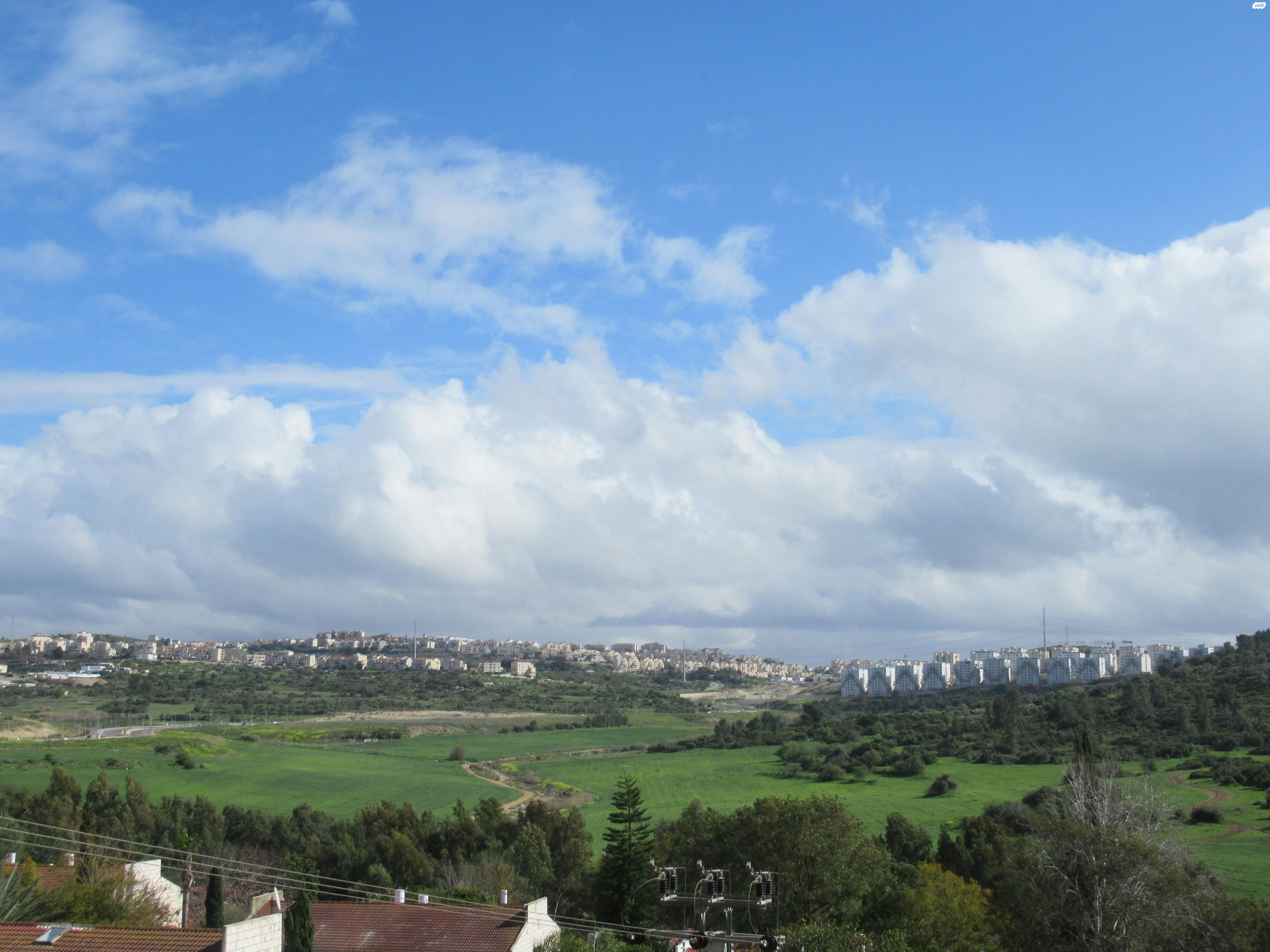הנרקיס 126