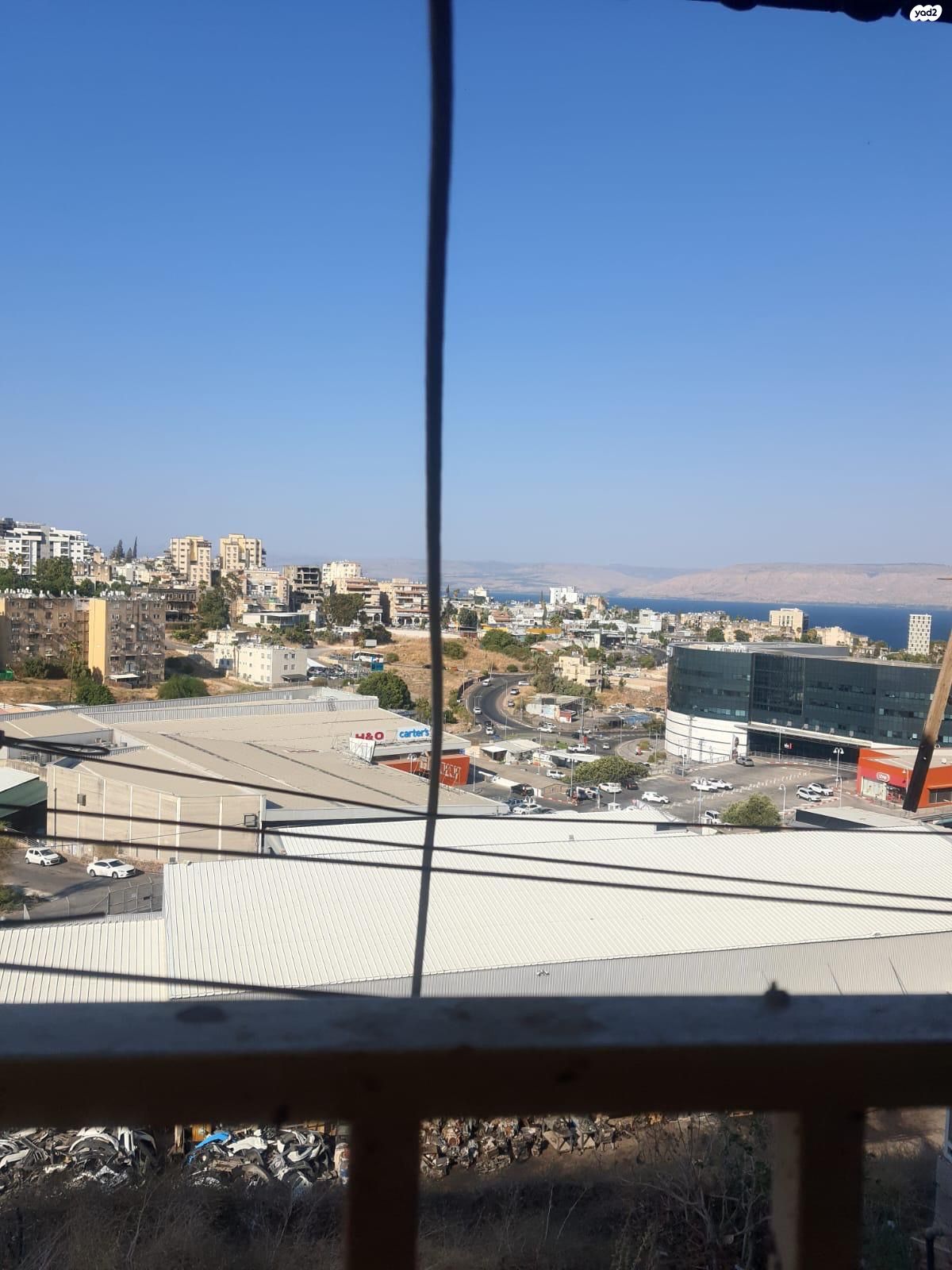 עליזה בגין 
