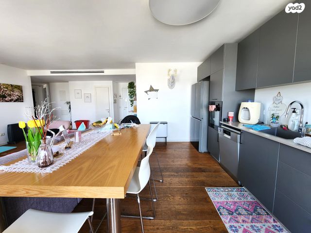 דופלקס, בני אפרים, תל ברוך צפון, תל אביב יפו