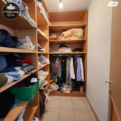 דירת גן, לוי אשכול, כהן, טירת כרמל