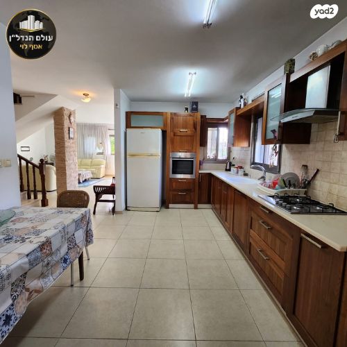 דירת גן, לוי אשכול, כהן, טירת כרמל