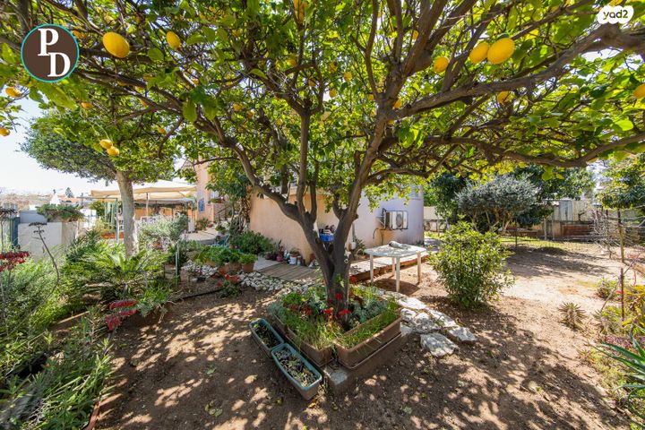 בית פרטי/ קוטג', כפר יונה