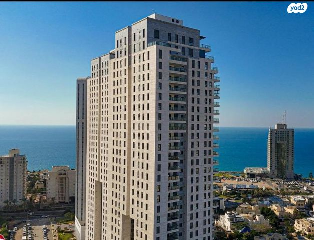 אמנון ליפקין שחק 3