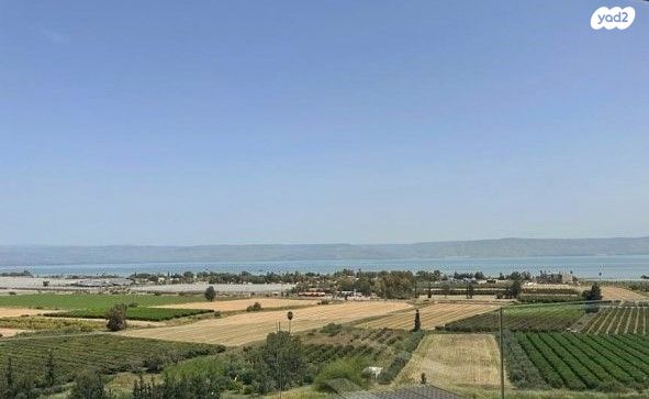 מגרשים