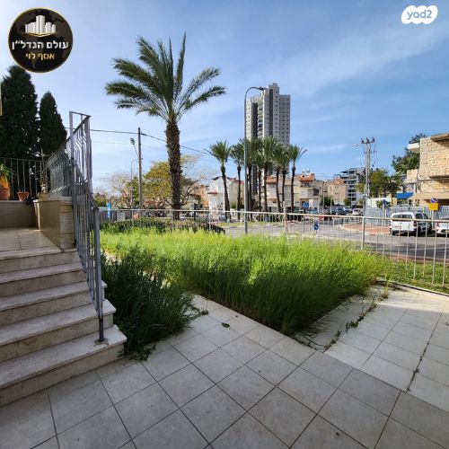 דירת גן, לוי אשכול, כהן, טירת כרמל