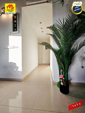 דירה, אשדוד