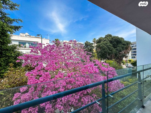 דירה, ז'בוטינסקי 60, הצפון הישן - צפון, תל אביב יפו