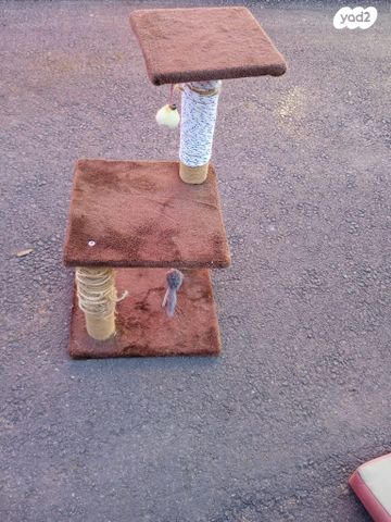 תמונת מודעה - חיות מחמד