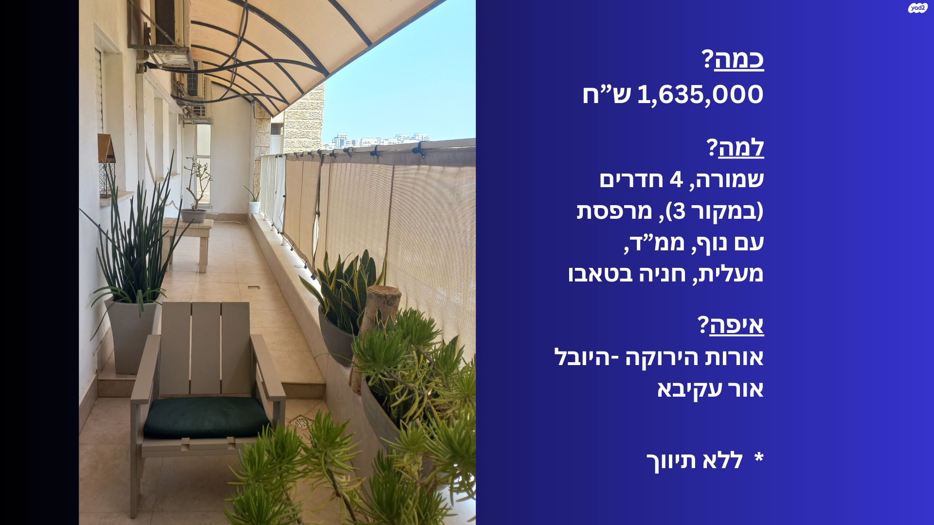 יהודה הלוי 25