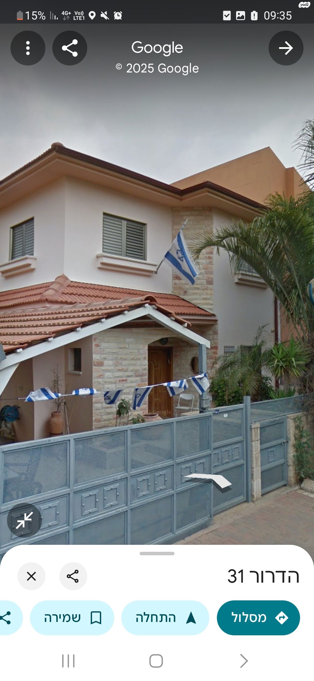 הדרור 31
