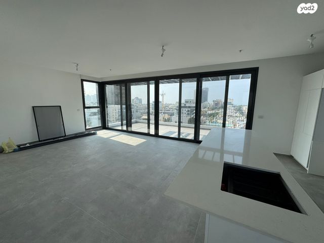 גג/ פנטהאוז, תל אביב יפו