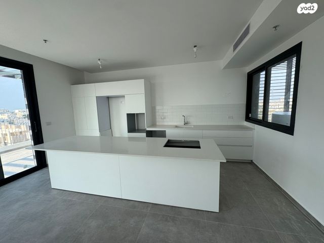 גג/ פנטהאוז, תל אביב יפו