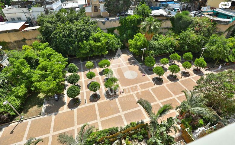 גג/ פנטהאוז, רבי פנחס, צפון יפו, המושבה האמריקאית-גרמנית, תל אביב יפו