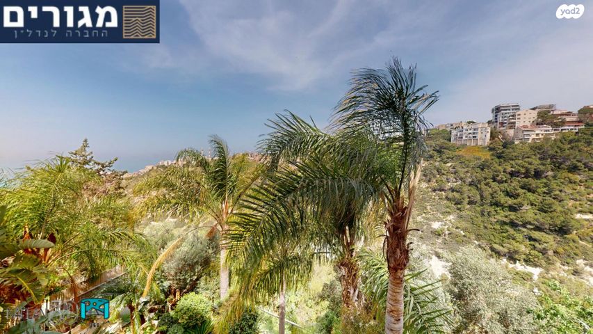 דירה, ויצ"ו, חיפה