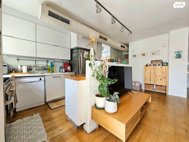 גג/ פנטהאוז, רבי פנחס, צפון יפו, המושבה האמריקאית-גרמנית, תל אביב יפו