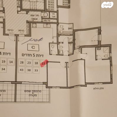 הגפן 
