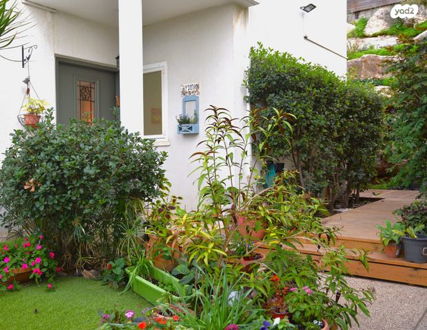 דו משפחתי, צוותא א, אלפי מנשה