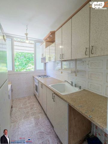 דירה, החלוץ, טרומפלדור, נהריה