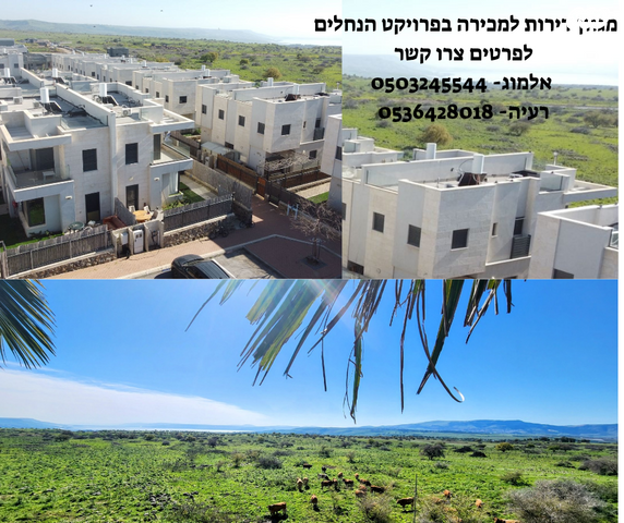 דו משפחתי, קצרין