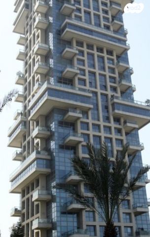 דירה, פנקס, תל אביב יפו