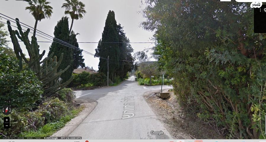 כליל החורש 1