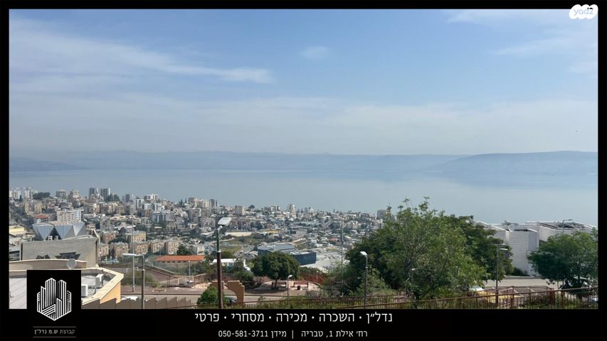 צאלון 