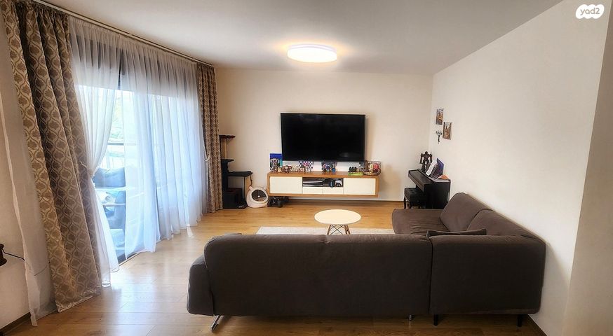 אלישע הנביא 