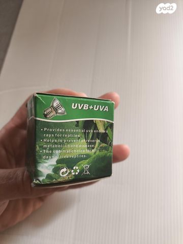 אביזרים | מנורות