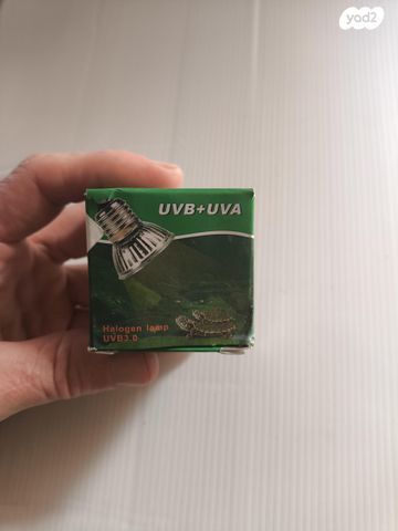 אביזרים | מנורות