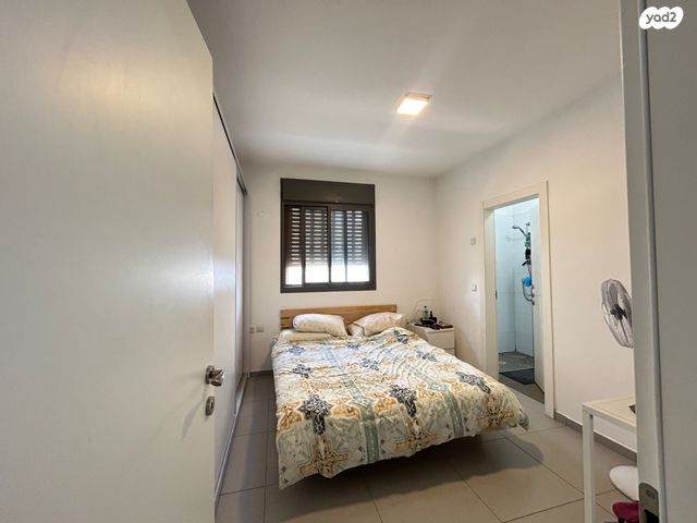 דירה, אורן, חריש