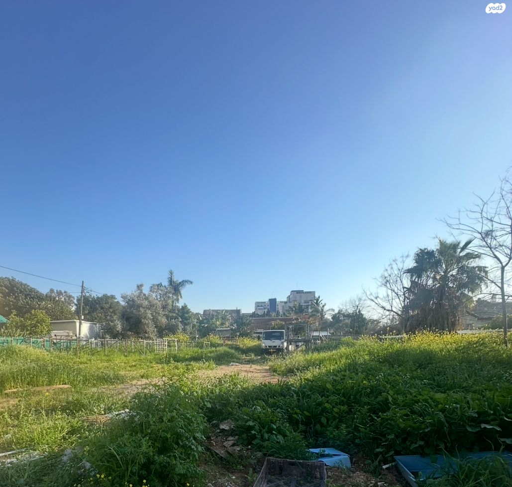 מגרשים