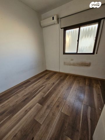 אלכסנדר זייד 