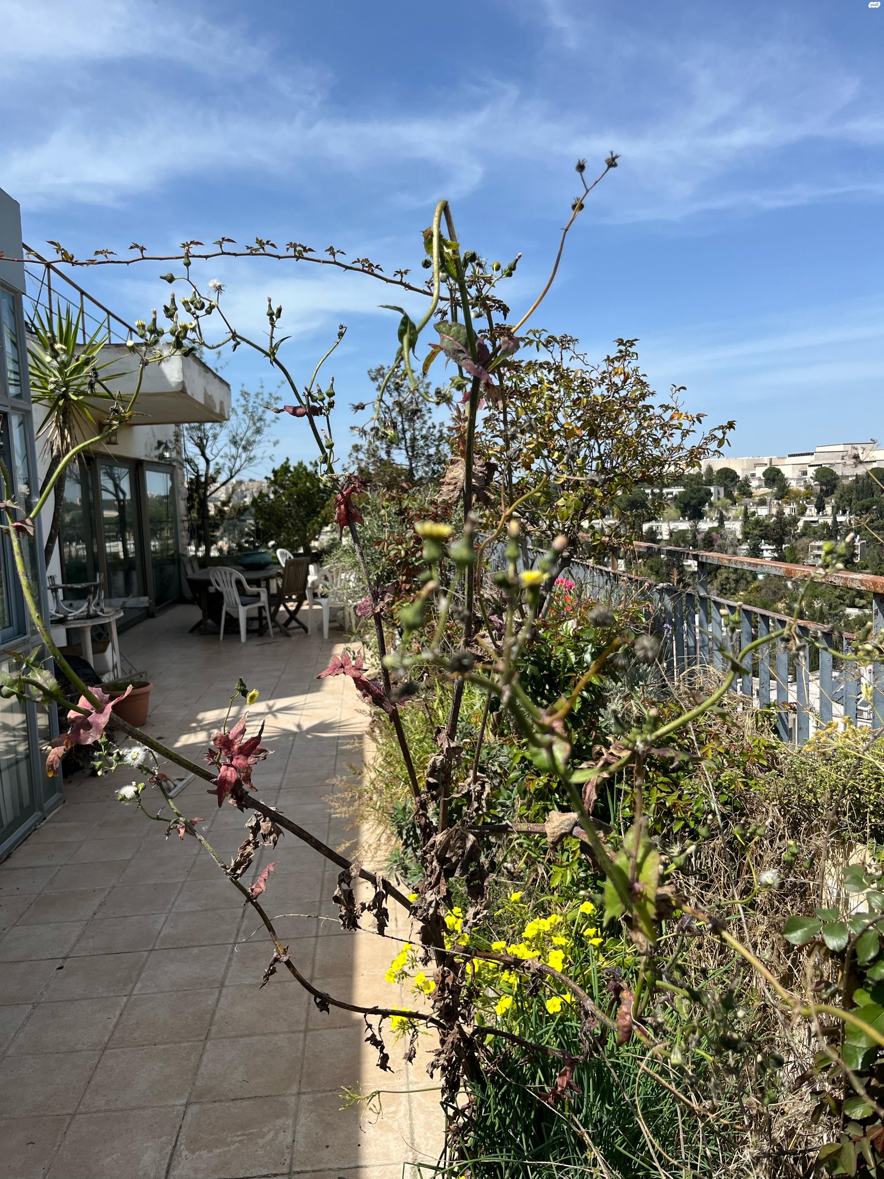 הרב חיים ברלין 