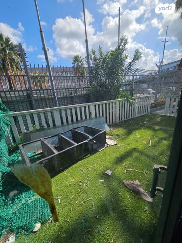 משרדים, חיפה