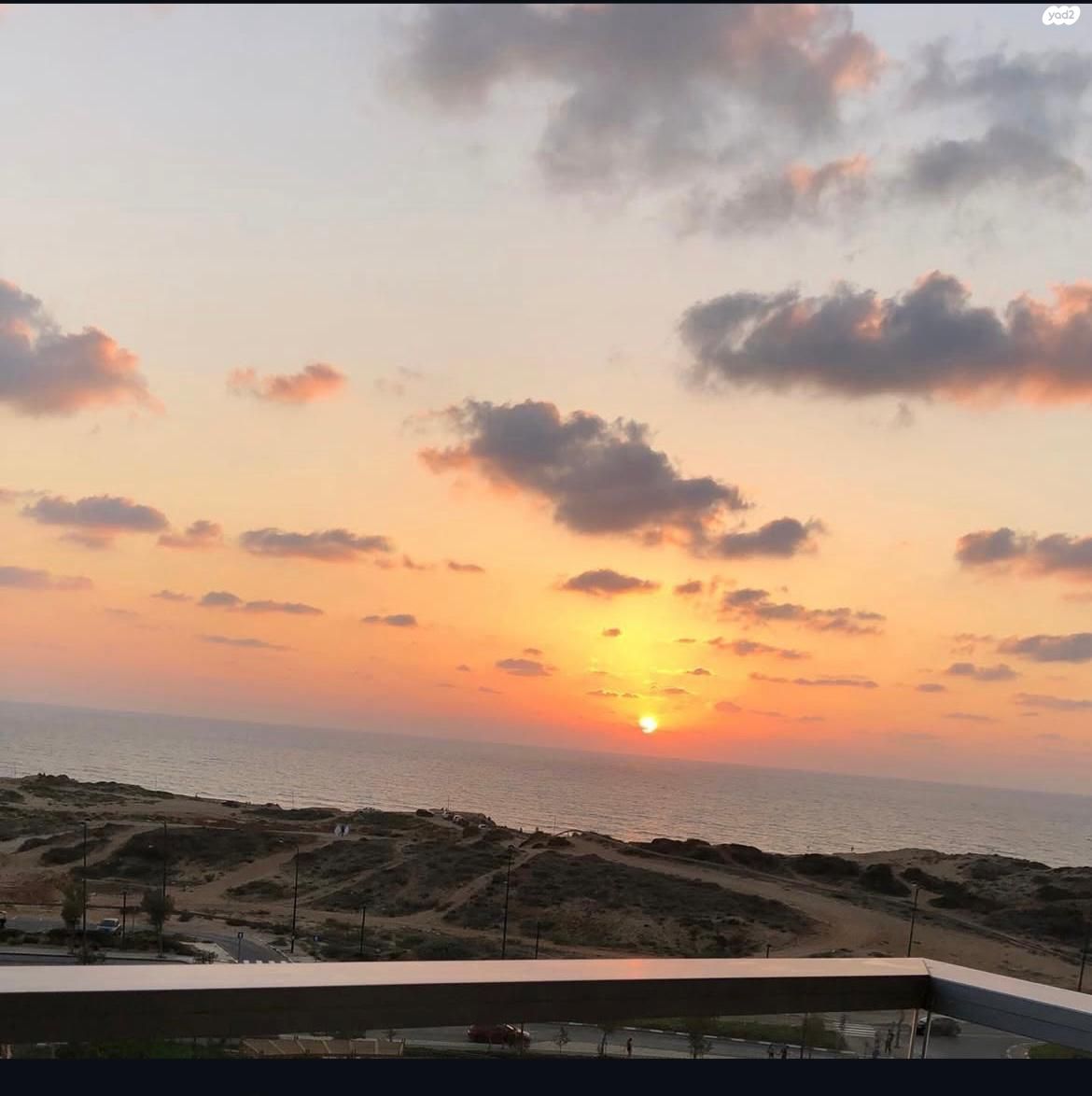 דודו דותן 5
