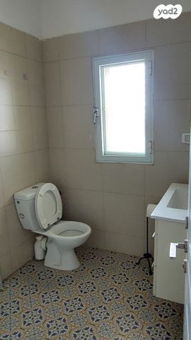 משק חקלאי/ נחלה, גפן, גפן, גפן