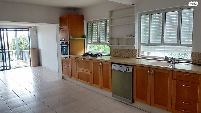 משק חקלאי/ נחלה, גפן, גפן, גפן