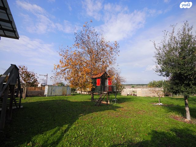 משק חקלאי/ נחלה, גפן, גפן, גפן