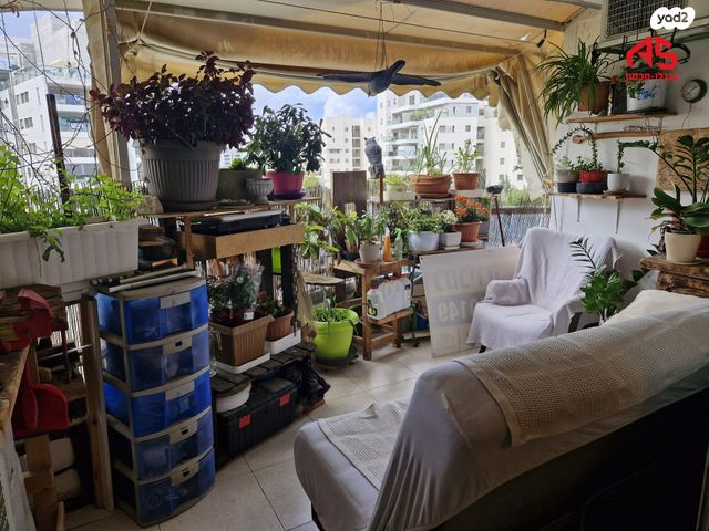 דירה, חטיבת הנח"ל, הפארק - צפון ותיק, חדרה