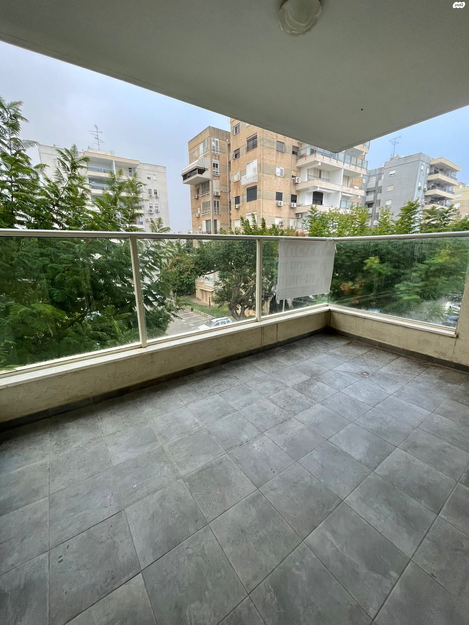 הארזים 11