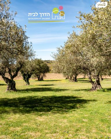 דו משפחתי, כרמי בנימינה, בנימינה גבעת עדה