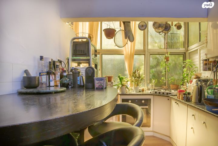 דירה, אבן גבירול, הצפון הישן - דרום, תל אביב יפו