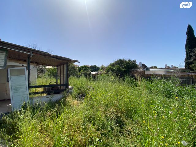 יוסף ויתקין 1