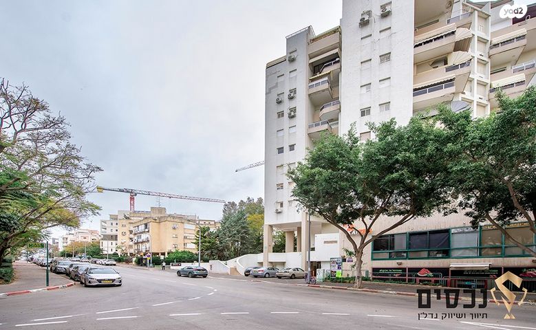 מיכל לייב כץ 