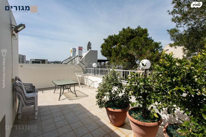 דירה, זלמן שז"ר, חיפה