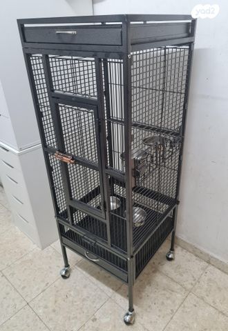 תמונת מודעה - חיות מחמד