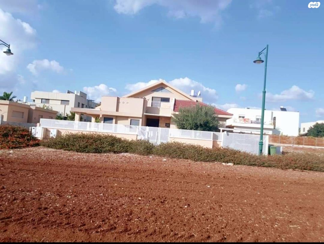 צפצפה 19
