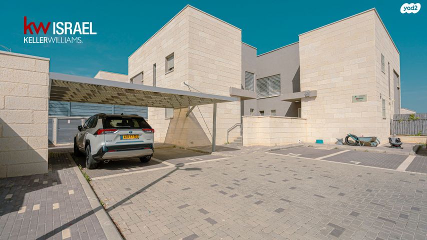 גפן 